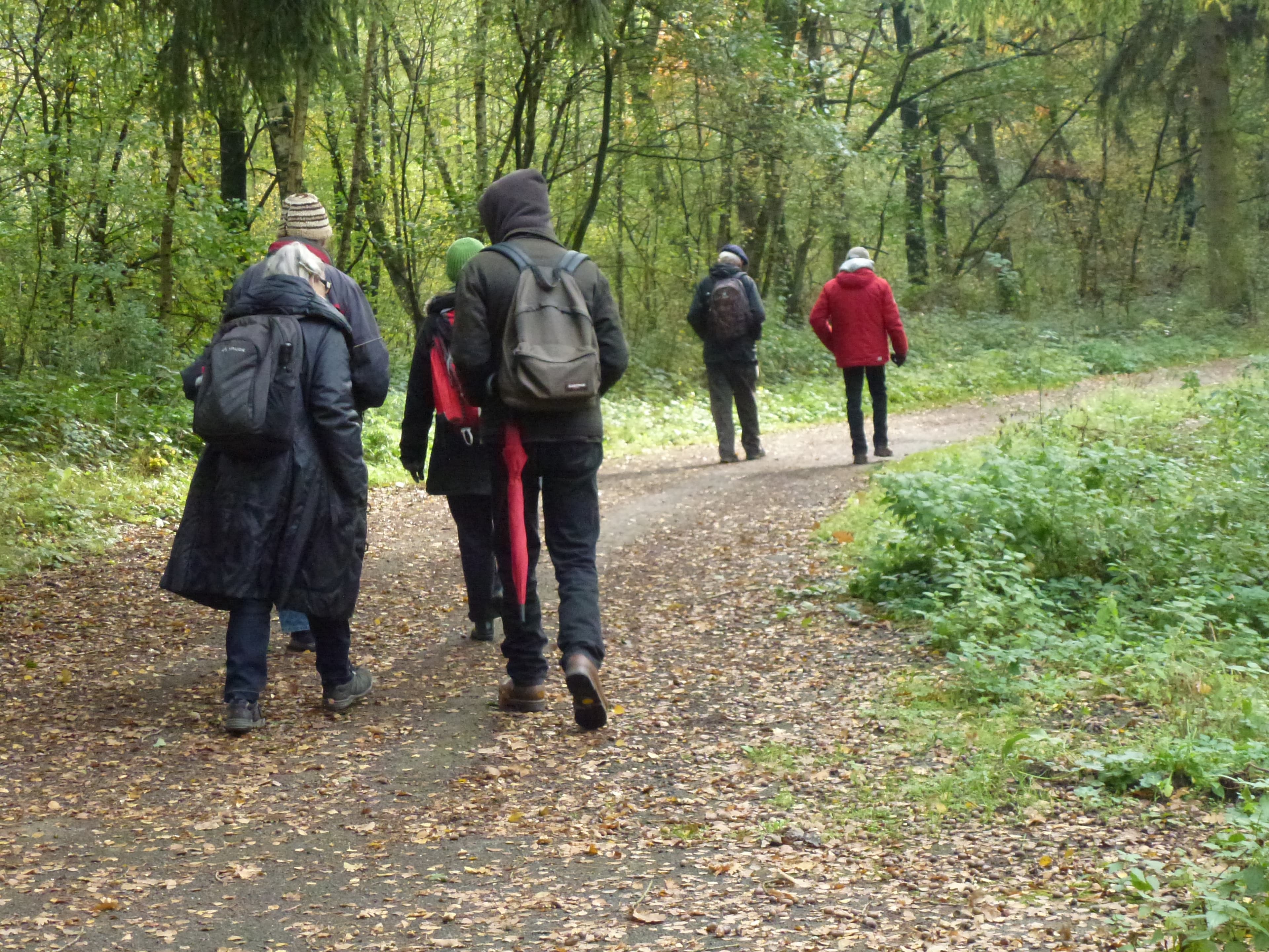 Waldspaziergang